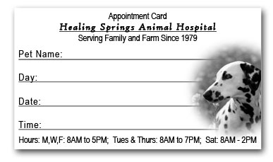Physical Therapy Appointment Cards