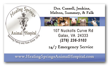 Physical Therapy Appointment Cards